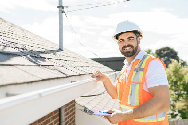 Best Chimney Flashing Repair  in Trenton, FL